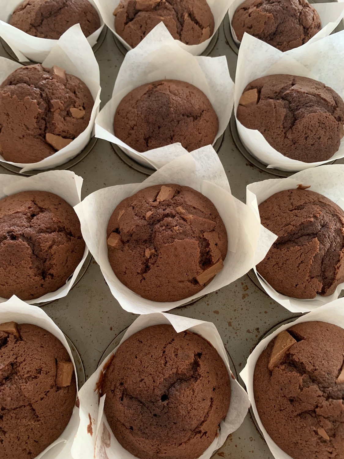chocolate muffins